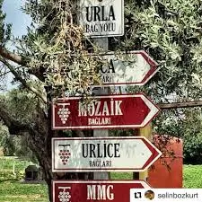 Bağ rotası — üzüm bağları